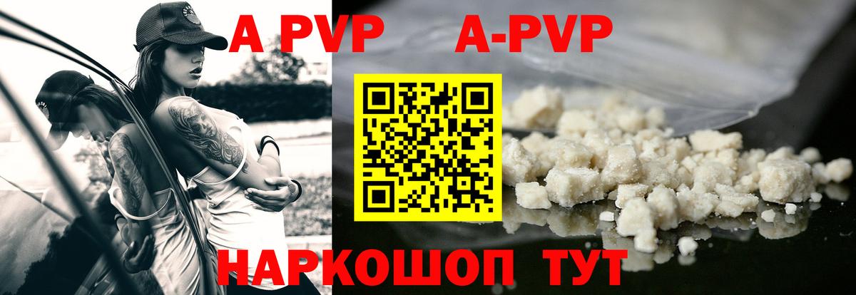 Alfa_PVP СК КРИС Грозный