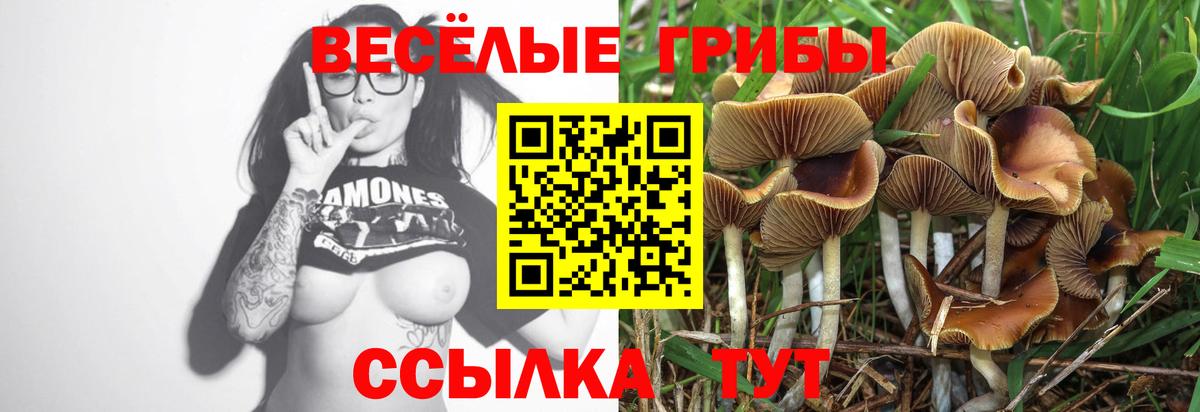 Галлюциногенные грибы ЛСД  Вход с VPN  даркнет сайт  Грозный 